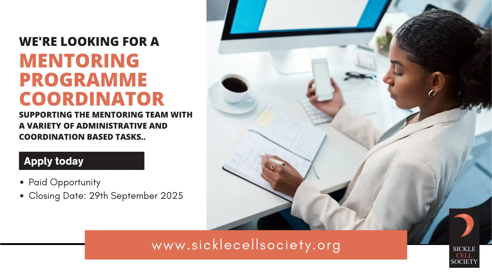 Clinical-lead-peer-mentoring