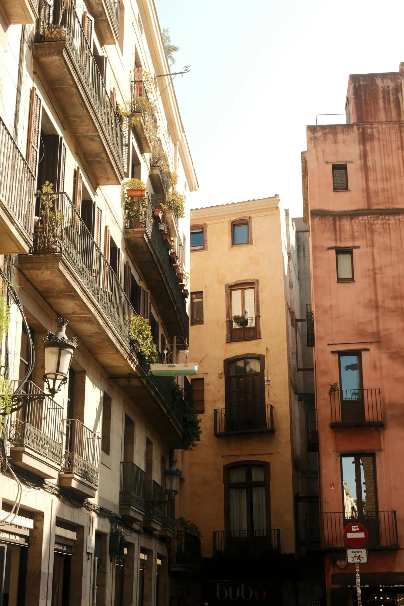 pexels-sheyds-yildiz-333883408-32876508